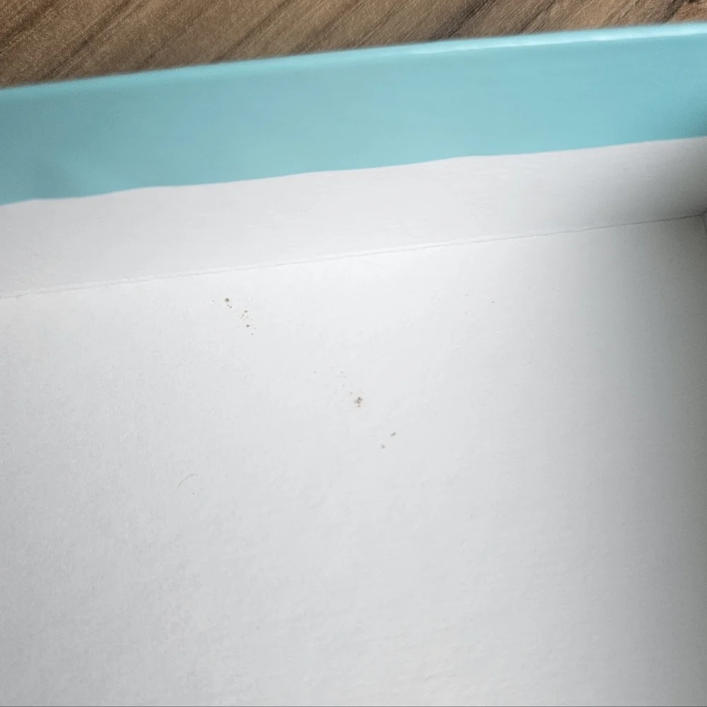 Tiffany & Co. Turquoise Gift Box